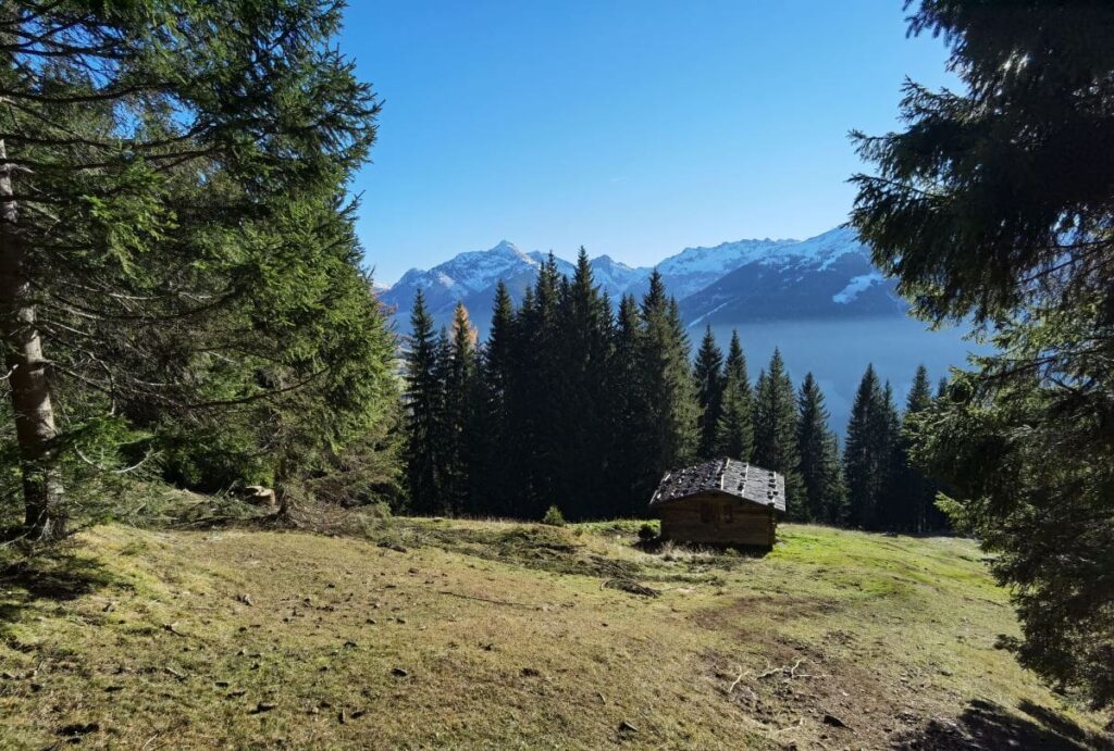 Auf dem Rückweg der Gratlspitze Wanderung - mit Blick auf die "brennenden" Lärchen