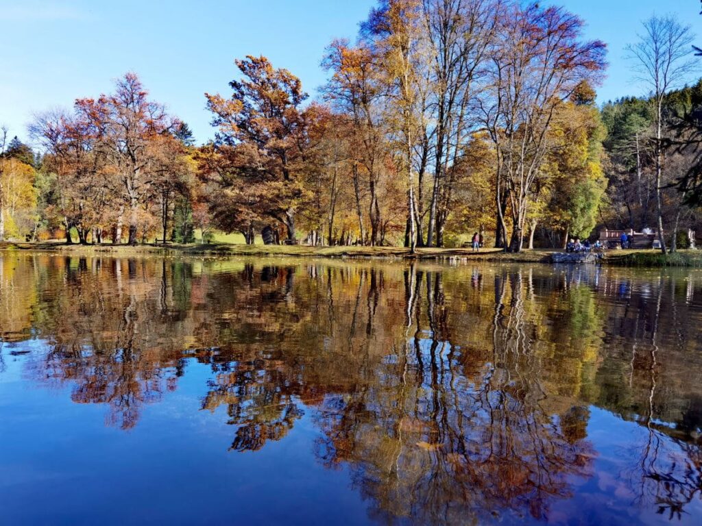 Herbst im Schlosspark Matzen - am Fuße des Alpbachtal