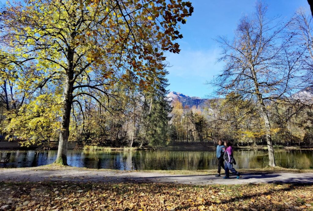 Spaziergang durch den Schlosspark Matzen - zwischen den Bäumen sind die Gipfel des Rofan zu sehen