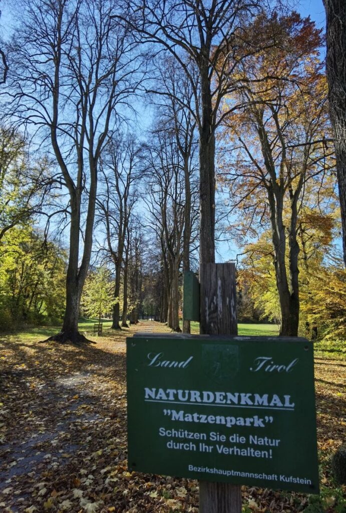 Der Schlosspark Matzen ist seit 1961 ein Naturdenkmal 